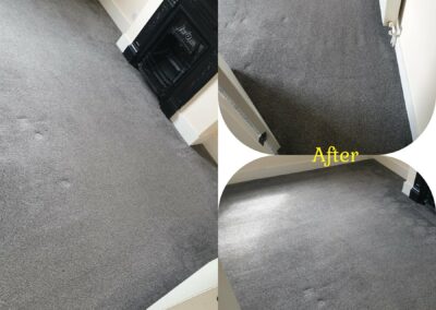willows fresh fibers 101