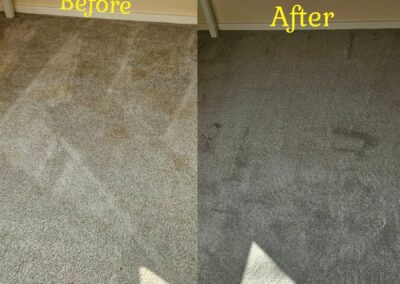 willows fresh fibers 74